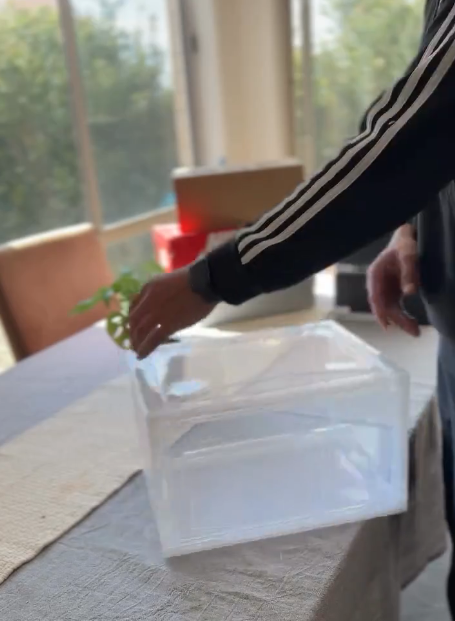 Video